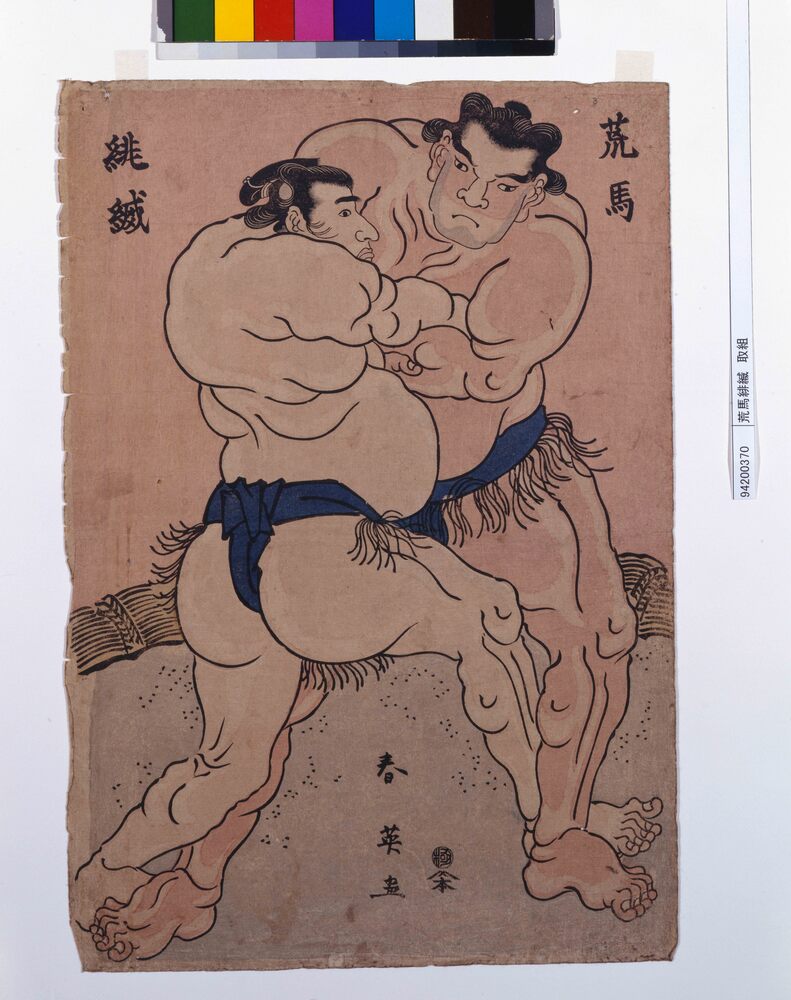 作品画像:荒馬緋縅 取組