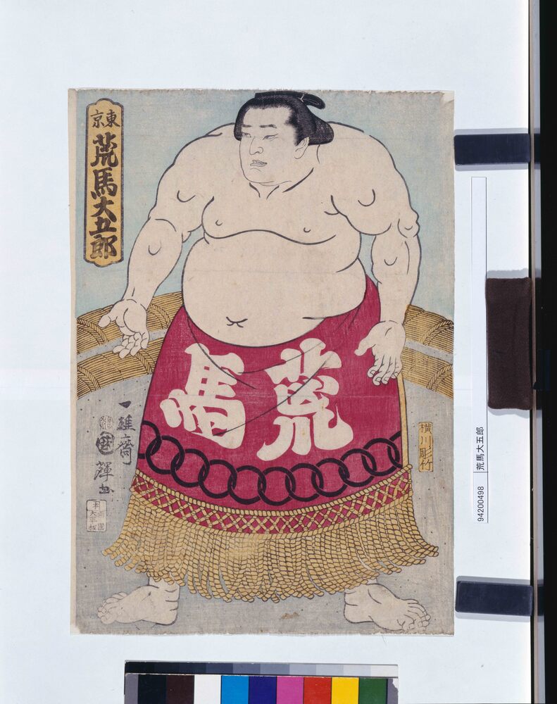 作品画像:荒馬大五郎