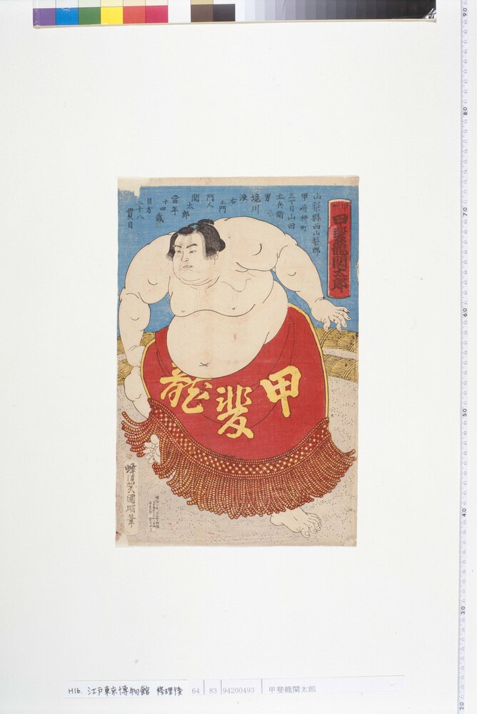 作品画像:甲斐龍関太郎