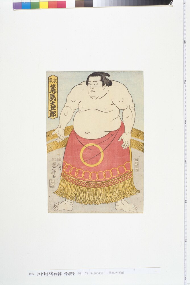 作品画像：荒馬大五郎