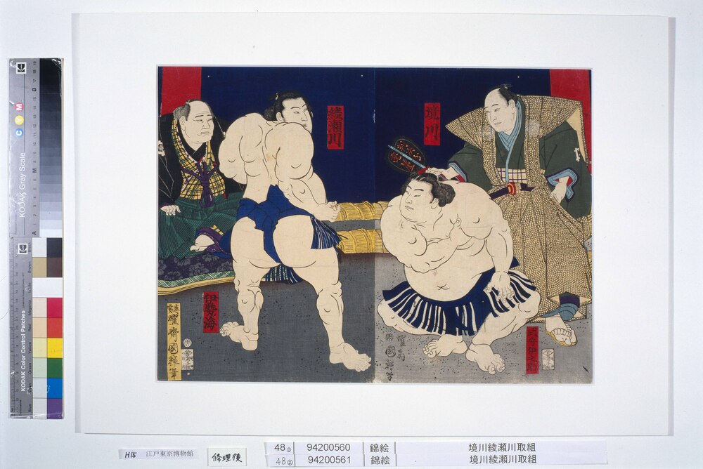 作品画像：境川綾瀬川取組