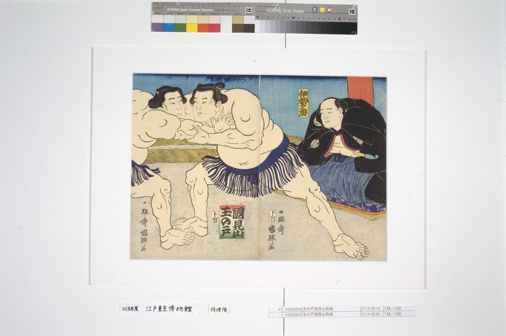 作品画像:玉の戸国見山取組