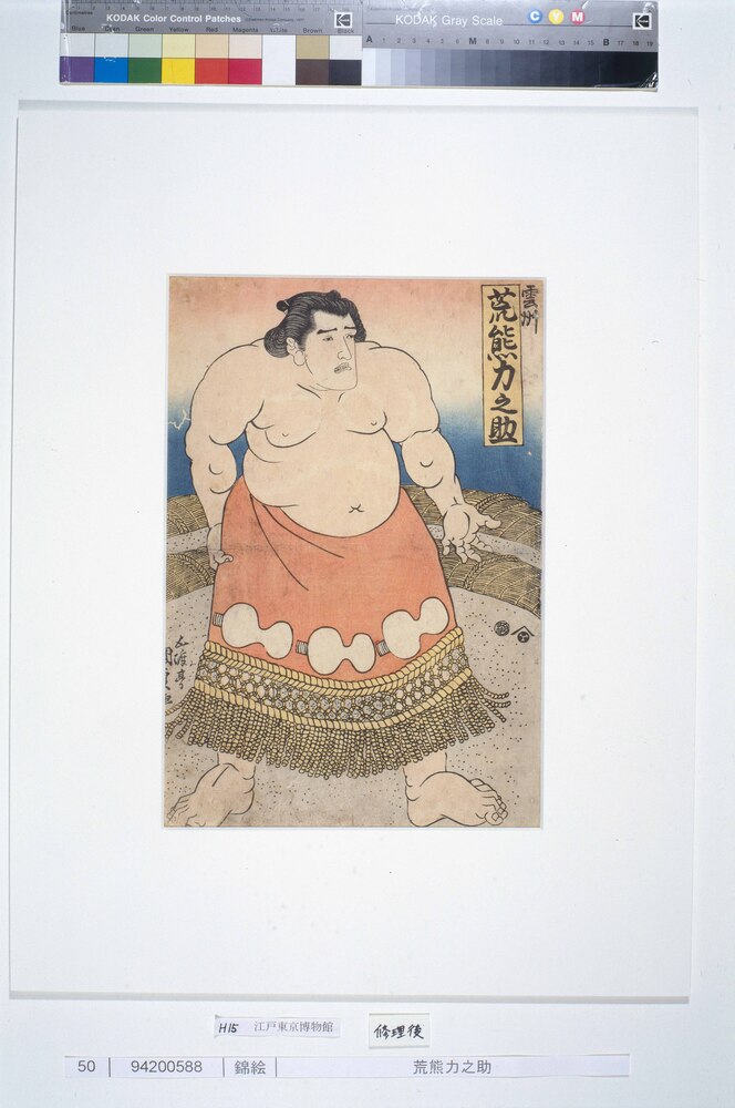 作品画像：荒熊力之助