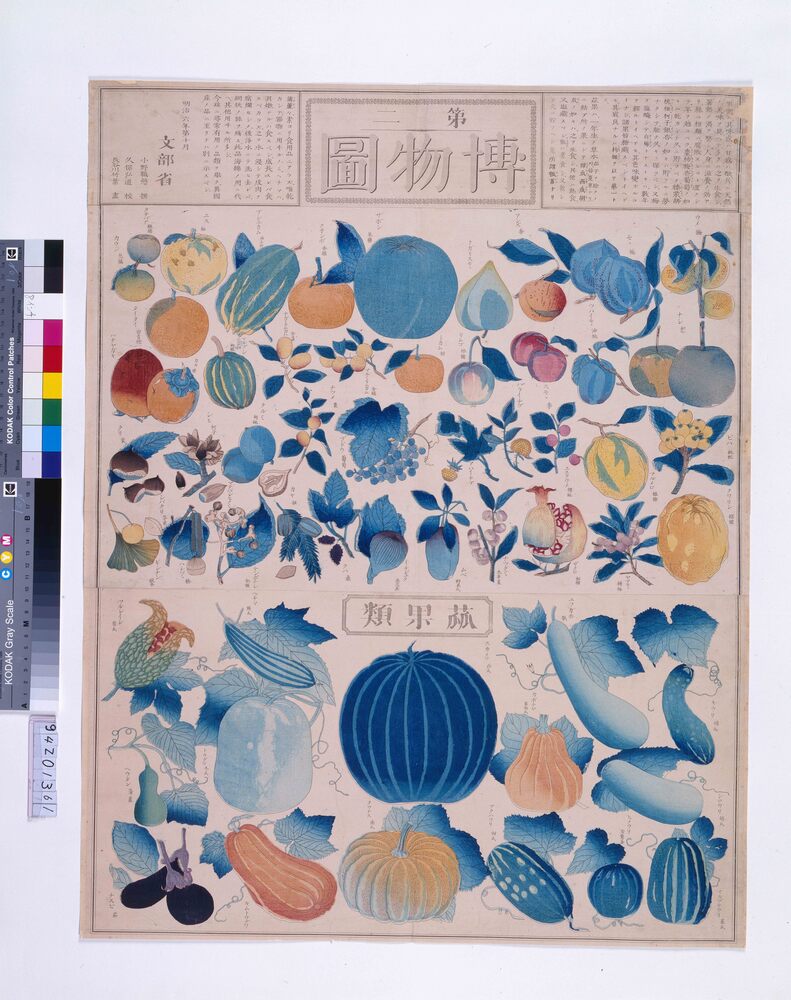 作品画像:博物圖(第二)