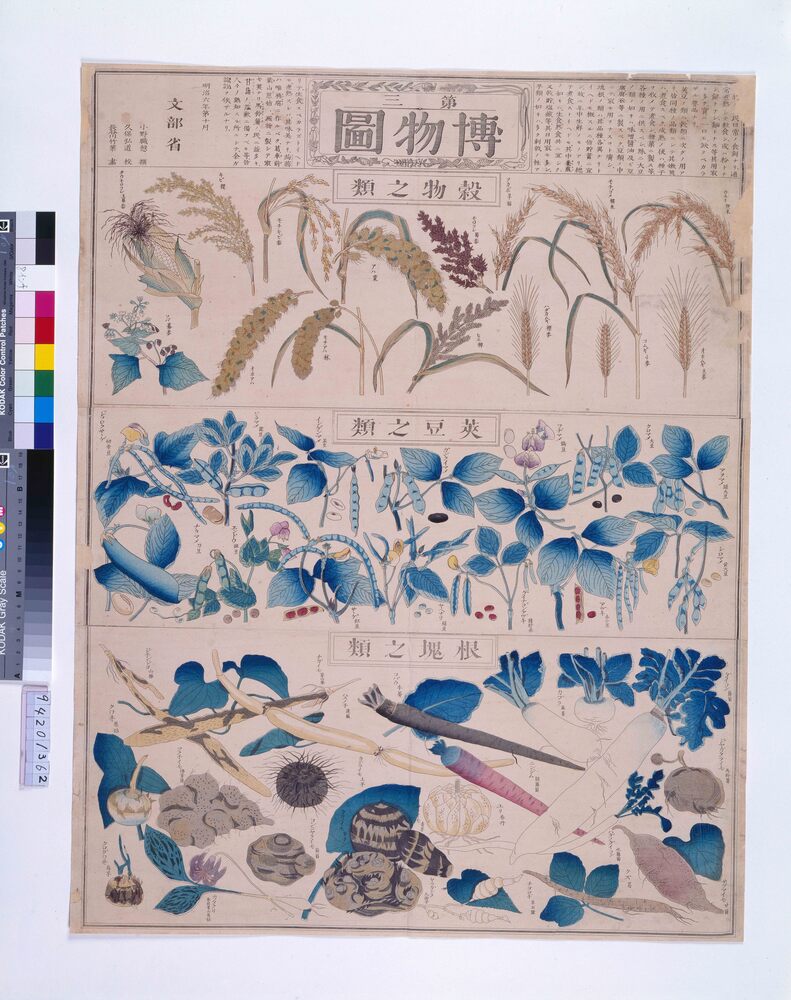 作品画像:博物圖(第三)