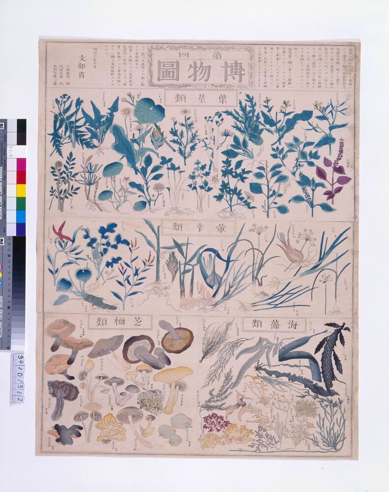 作品画像:博物圖(第四)
