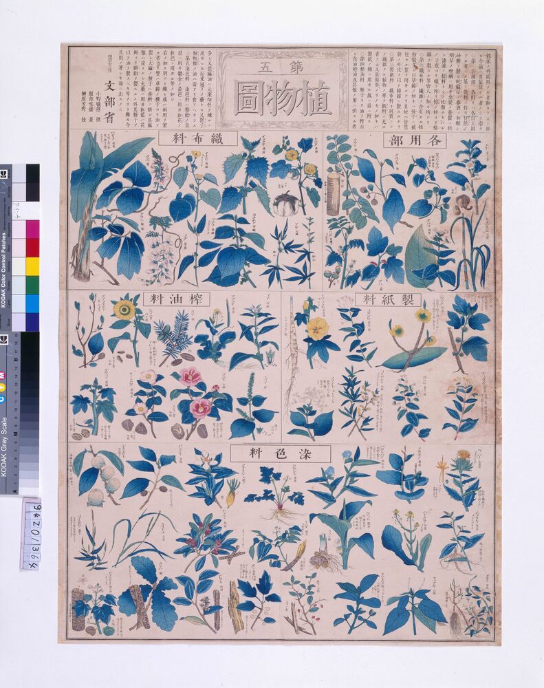 作品画像:植物圖(第五)