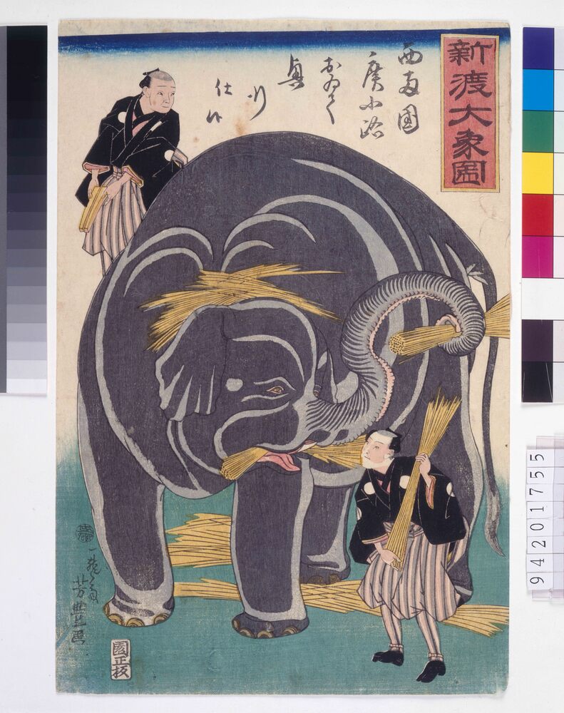 作品画像:新渡大象図
