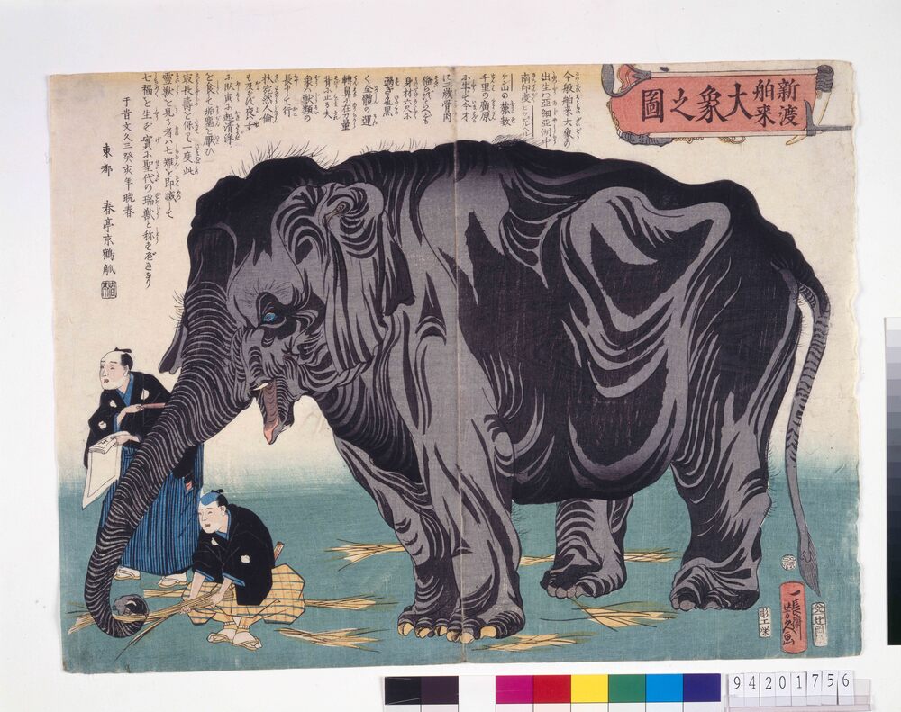 作品画像：新渡舶来大象之図