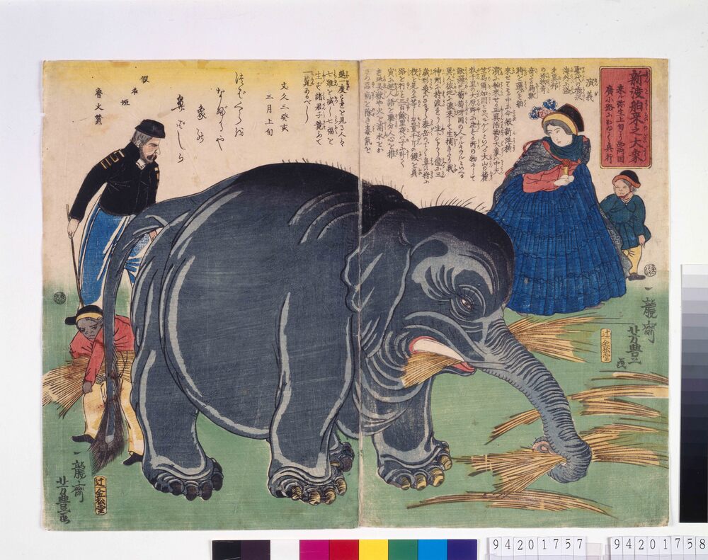 作品画像：新渡舶来之大象