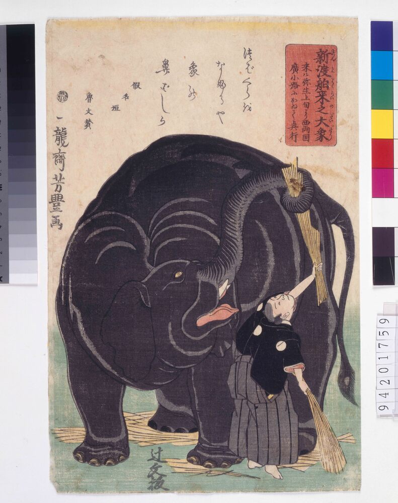 作品画像:新渡舶来之大象