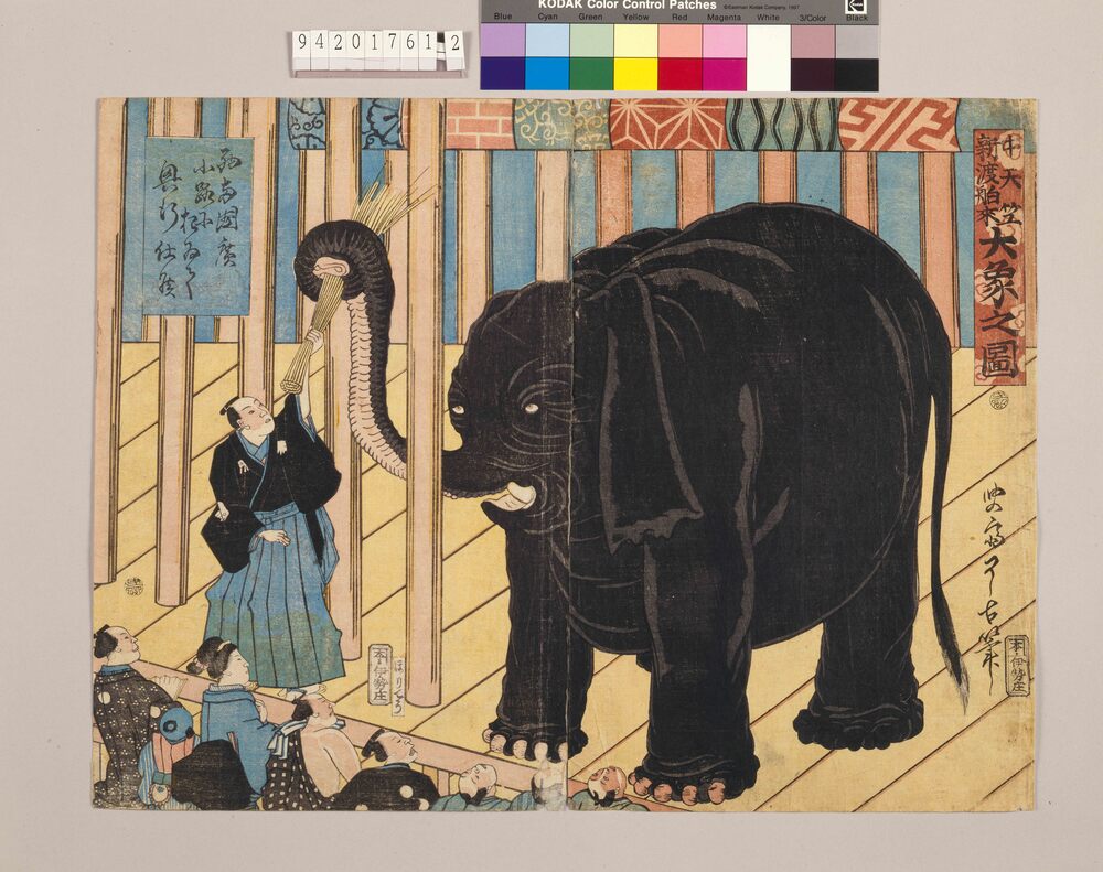 作品画像:中天竺新渡舶来大象之図