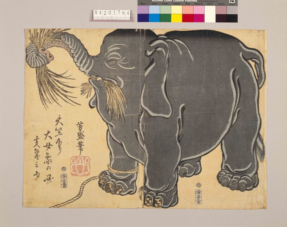 作品画像:天竺下り大女象の図