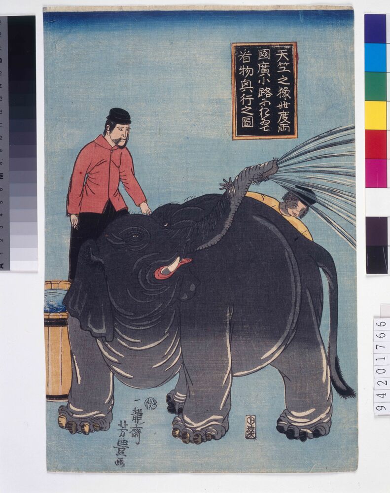 作品画像:天竺之象此度両国広小路におゐて看物興行之図