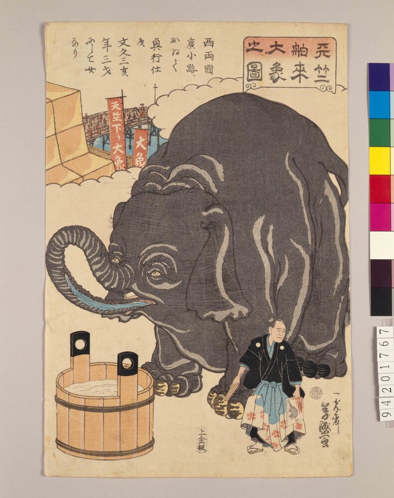 作品画像：天竺舶来大象之図