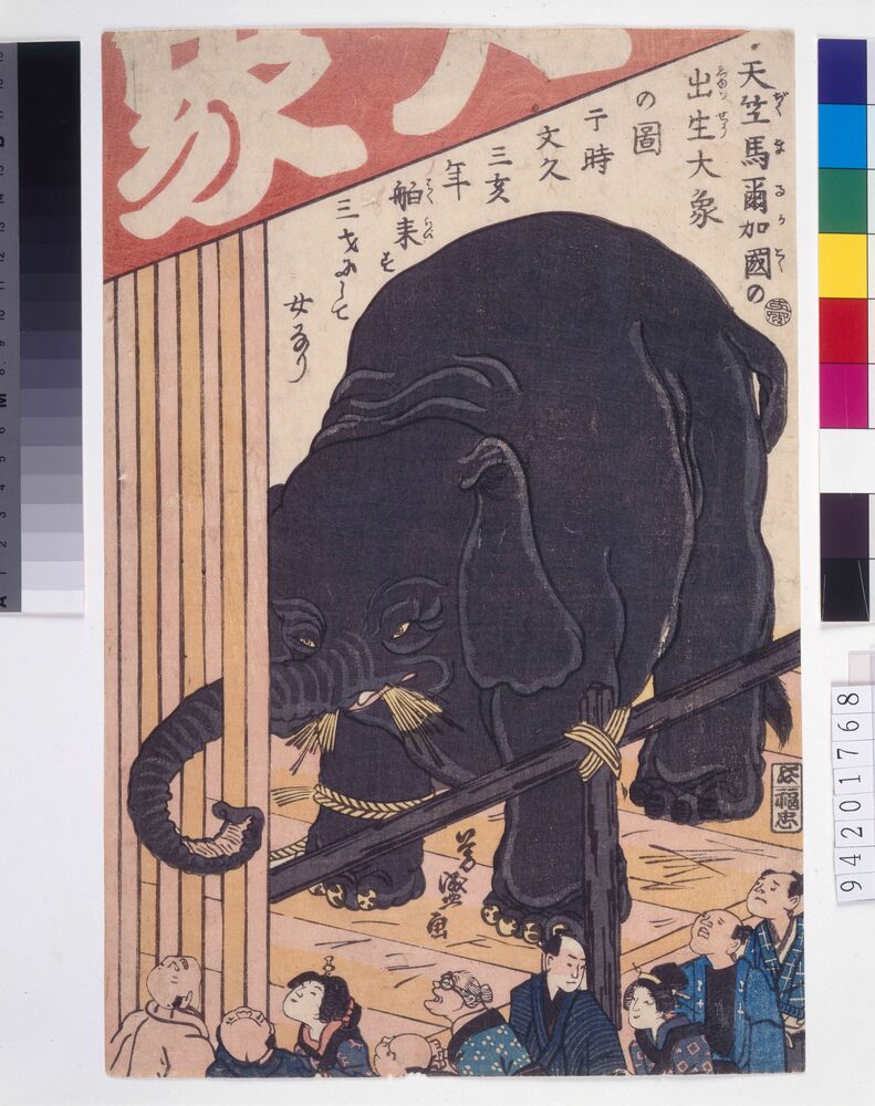 作品画像:天竺馬爾加国の出生大象の図