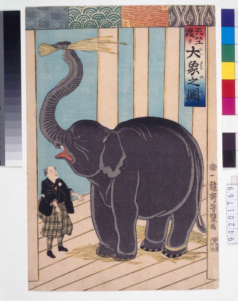 作品画像:天竺渡り大象之図