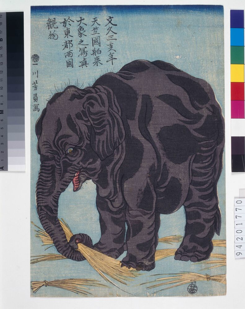作品画像:文久三亥年天竺国舶来大象之写真於東都両国観物