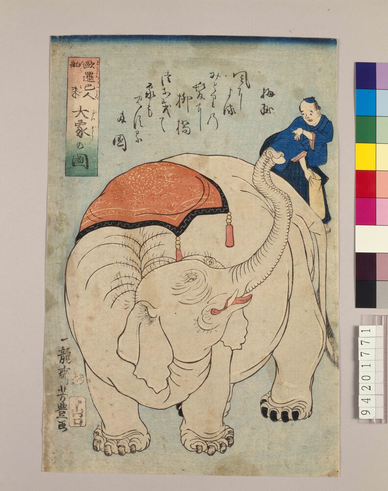 作品画像：欧羅巴人舶来大象の図