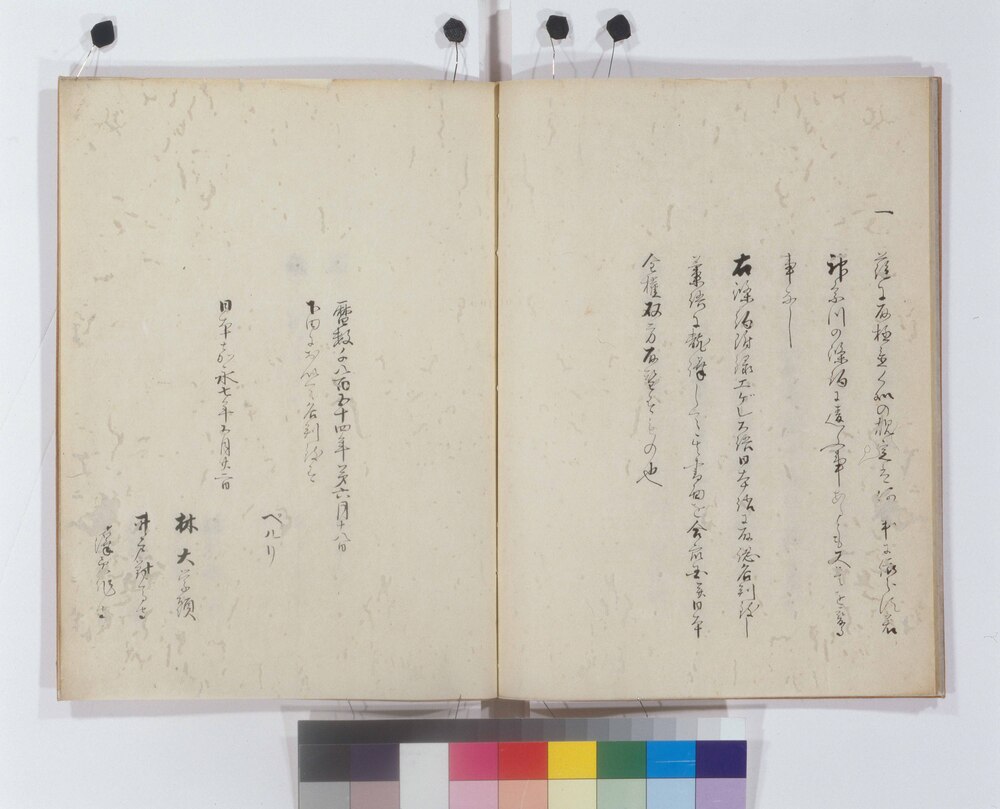 作品画像：日米和親条約附録(下田条約)写