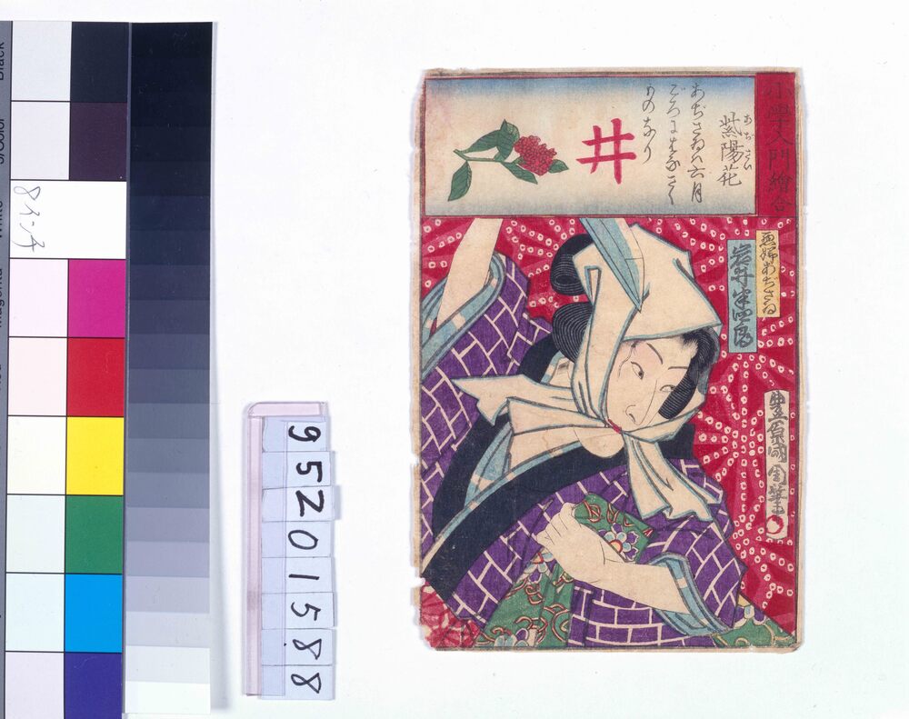 作品画像：小学入門絵合 紫陽花 岩井半四郎