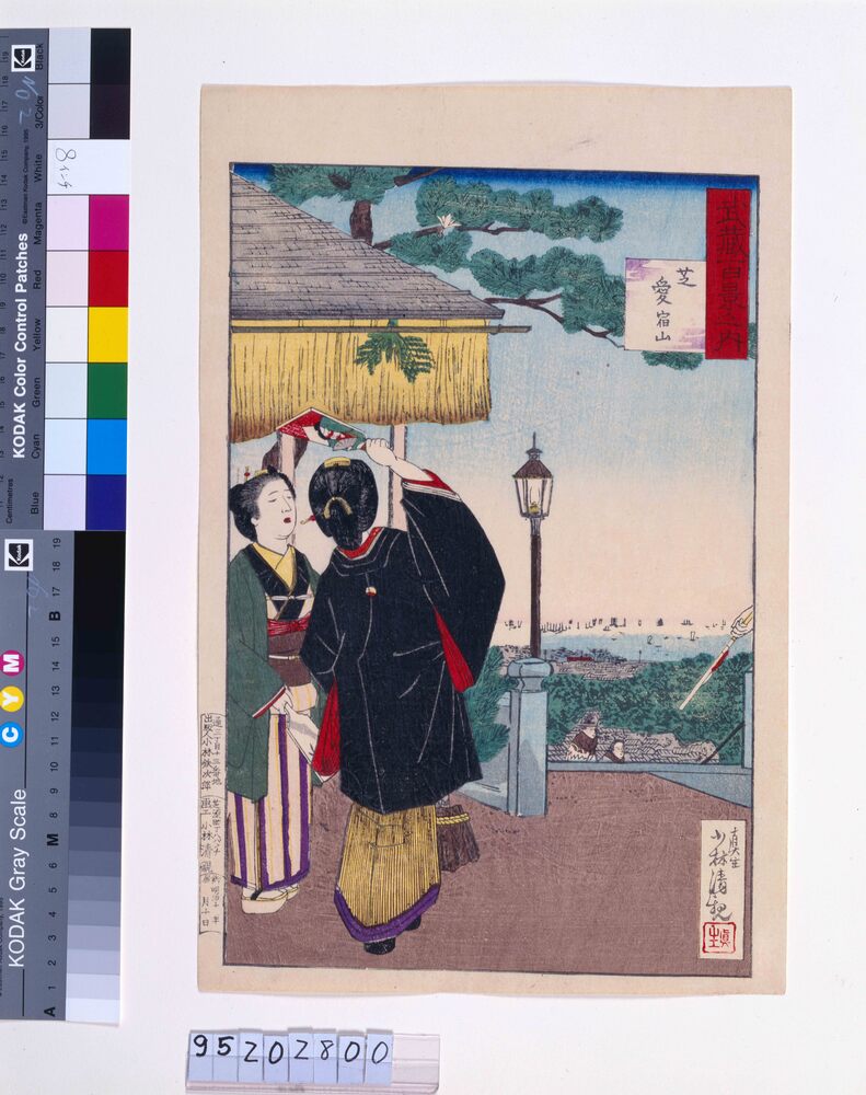作品画像:武蔵百景之内 芝愛 宕山