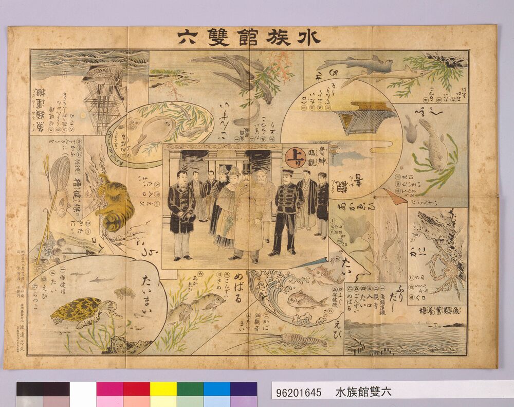 作品画像:水族館双六