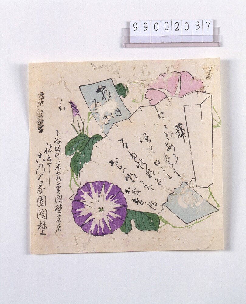 作品画像:蕣引札