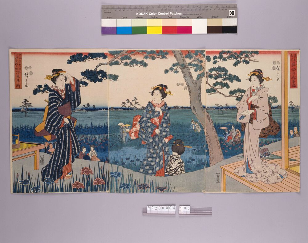 作品画像:東都名所堀切の花菖蒲