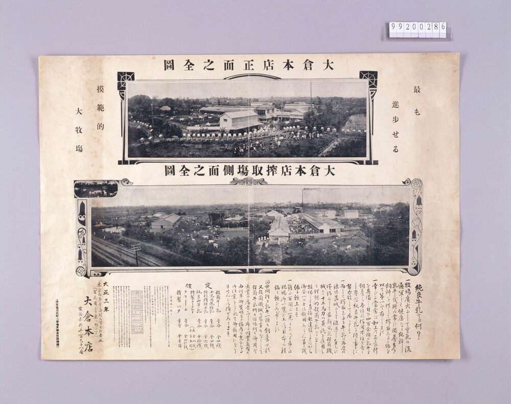 作品画像:牛乳搾取場 向島 大倉本店広告