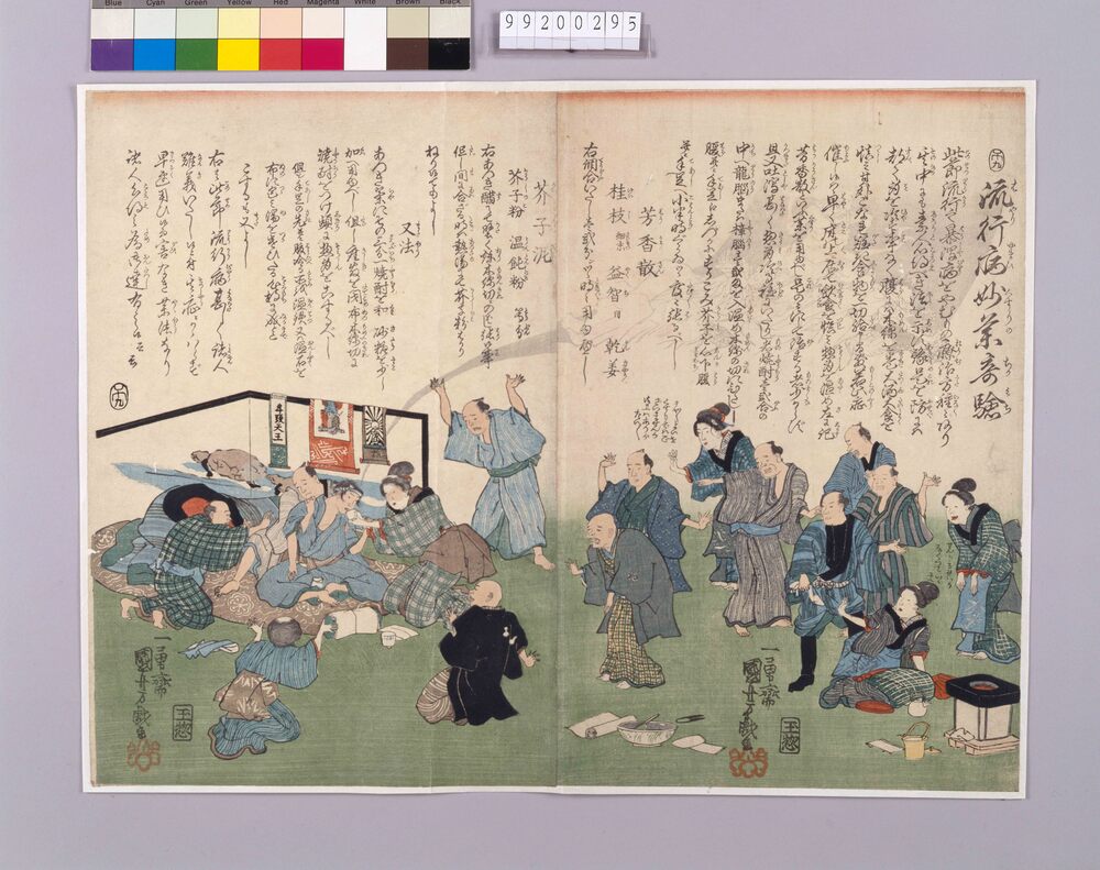 作品画像:流行病妙薬奇験
