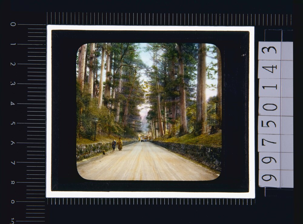 作品画像:日光 東照宮参道(幻燈原板)