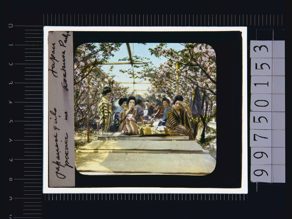 作品画像:東京 浅草花見(幻燈原板)