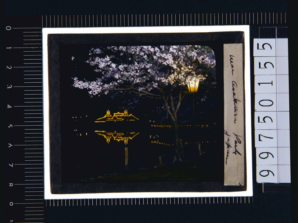 作品画像：[東京勧業博覧会第二会場夜景](幻燈原板)