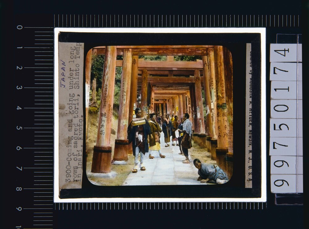 京都 伏見稲荷(幻燈原板)