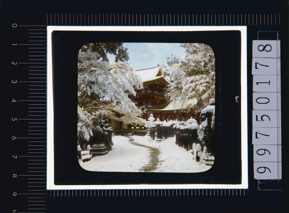 作品画像:奈良 春日大社(幻燈原板)