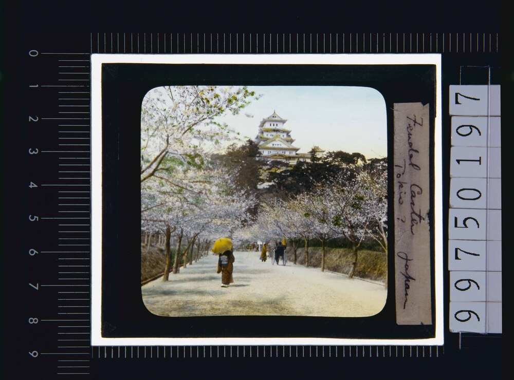 作品画像：兵庫 姫路城(幻燈原板)