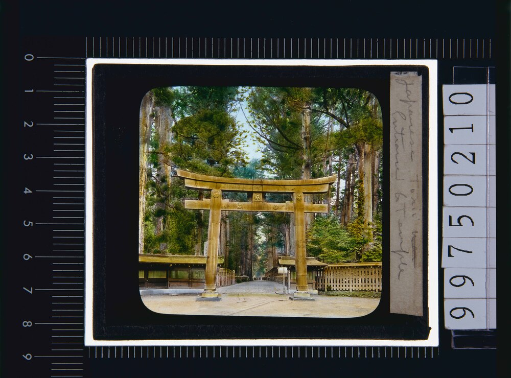 作品画像:神社の鳥居(幻燈原板)