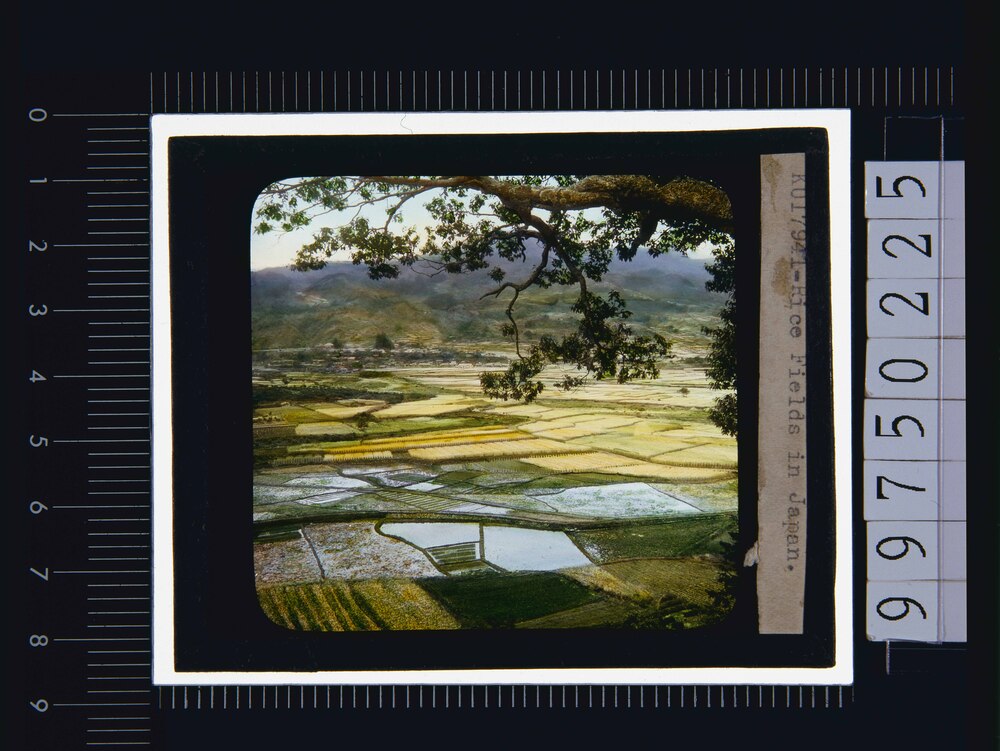 作品画像:田園風景(幻燈原板)