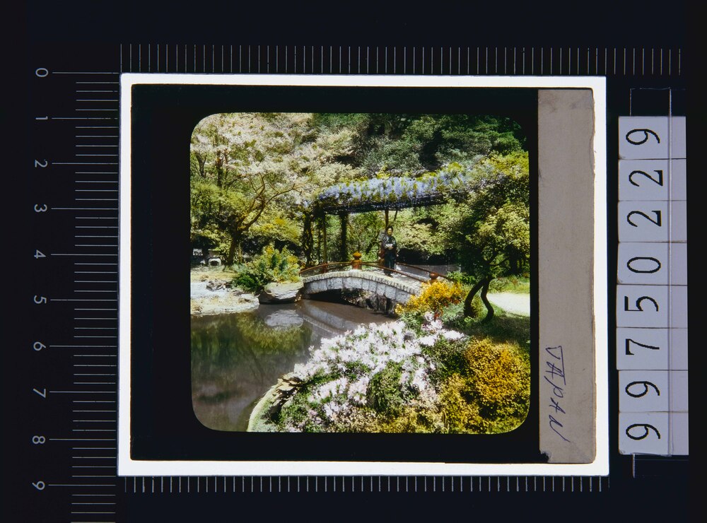 作品画像:庭園(幻燈原板)