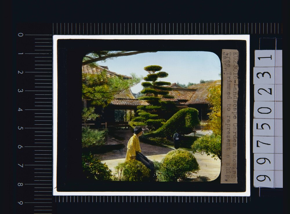 作品画像:京都 金閣寺陸船松(幻燈原板)