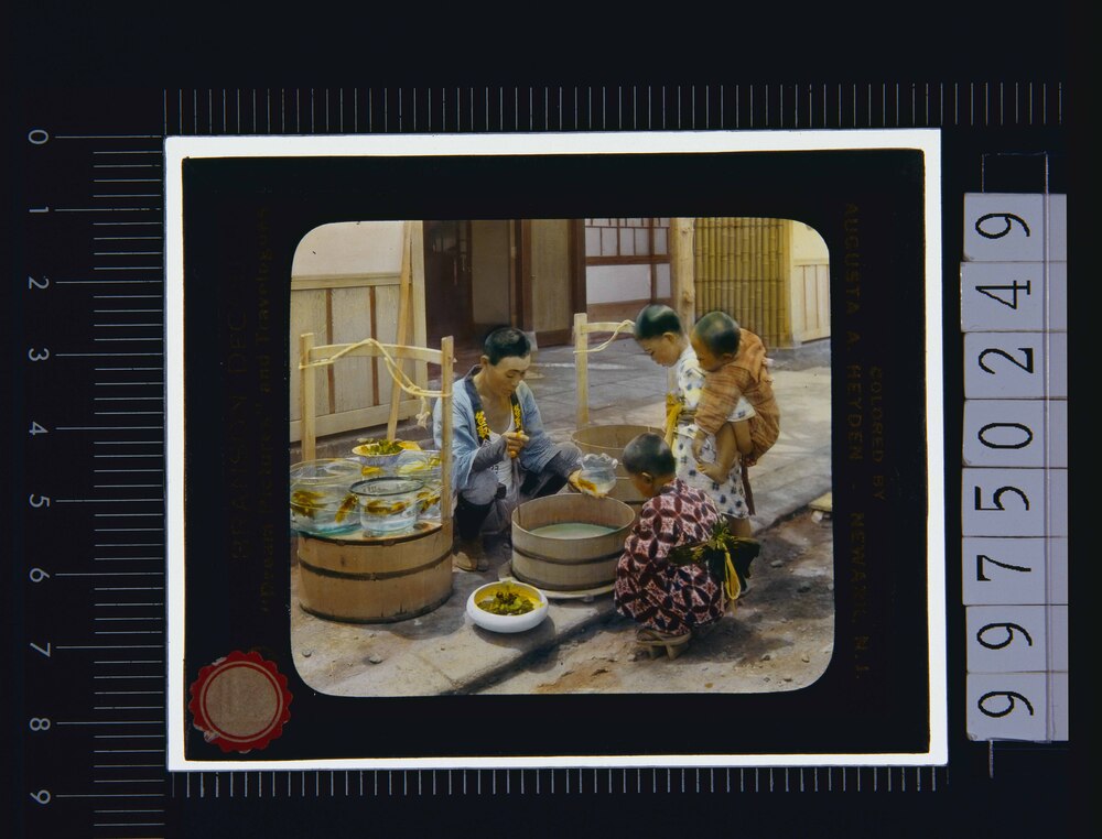 作品画像：金魚売り(幻燈原板)