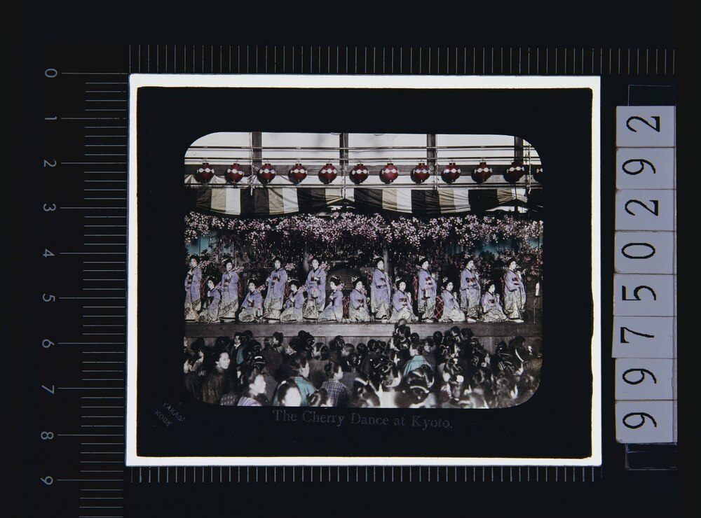 作品画像:京都 桜踊り(幻灯原板)