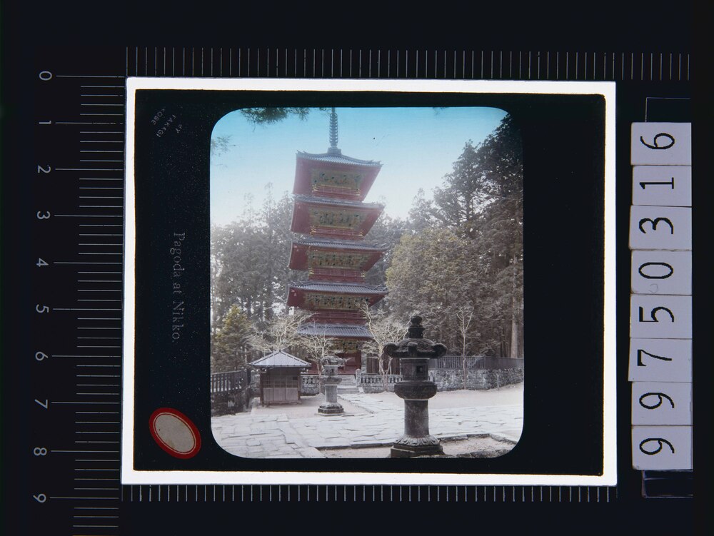 日光 東照宮五重塔(幻灯原板)