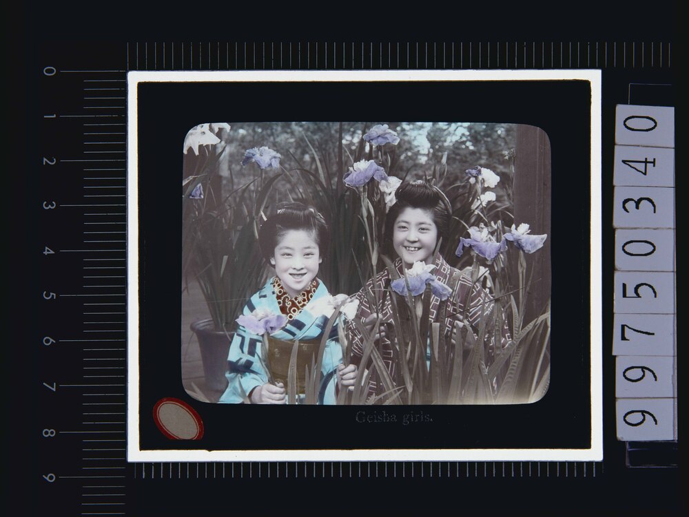 作品画像:芸者(幻灯原板)
