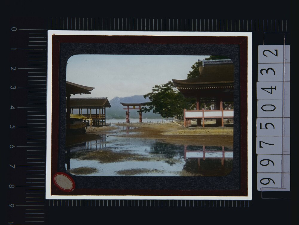 作品画像:広島 宮島厳島神社(幻燈原板)