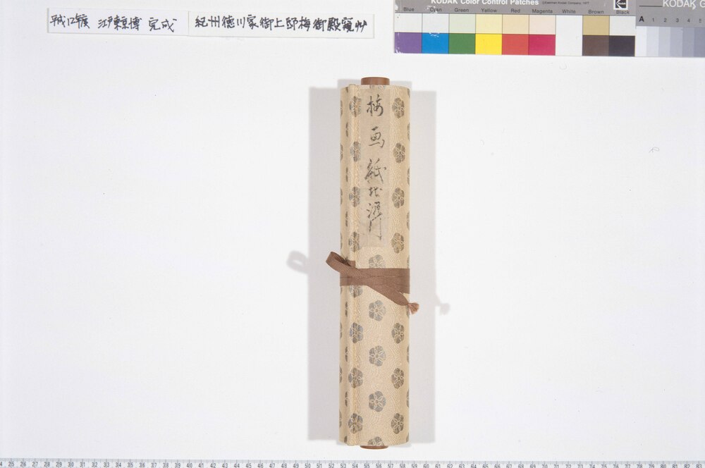 作品画像:紀州徳川家御上邸梅御殿窺艸