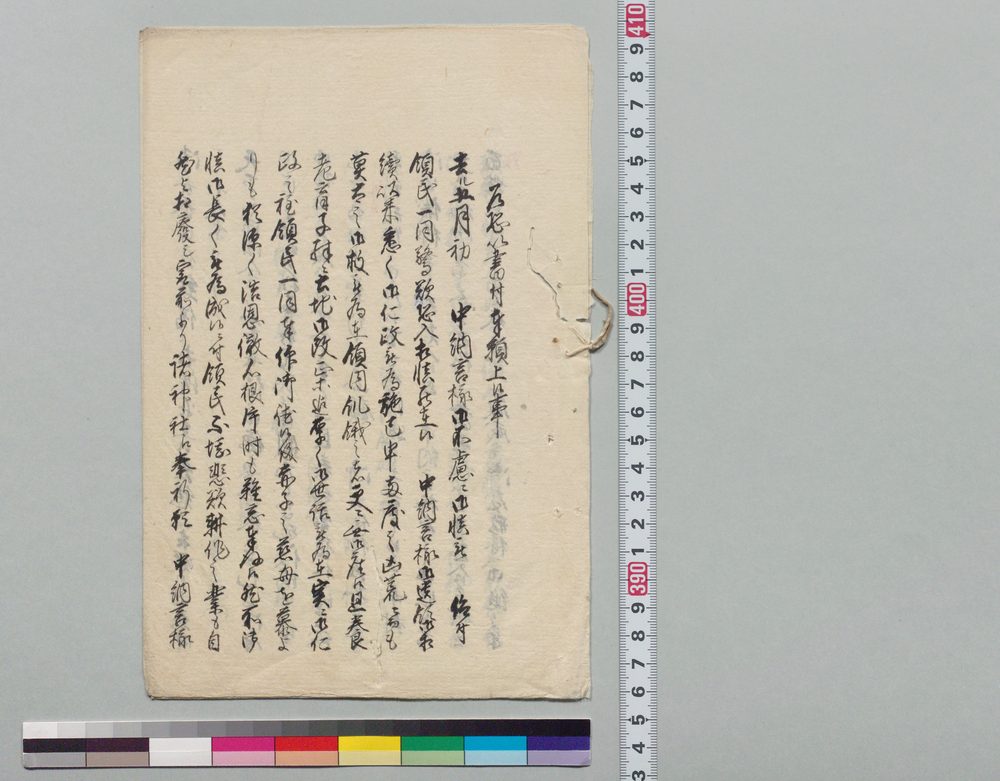 作品画像：[水戸藩領より百姓浪人出府につき触書]