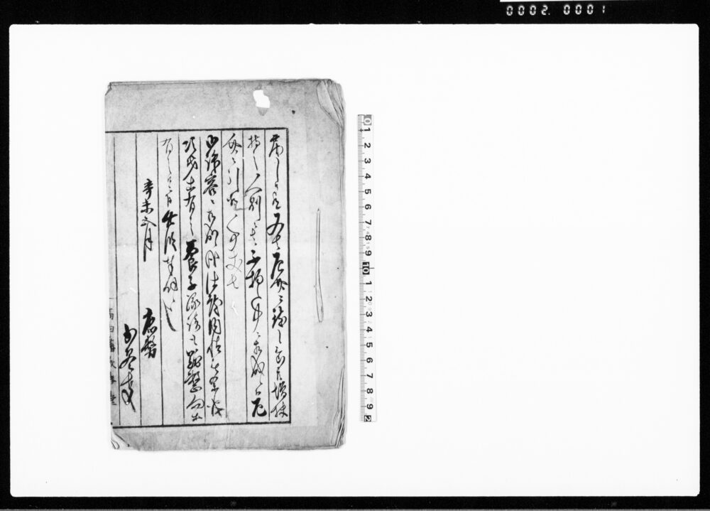 作品画像:(小川平四郎婿養子三度差戻一件につき書留)