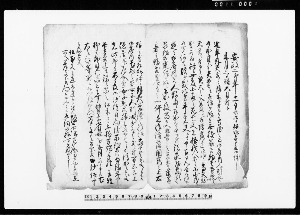 作品画像：（近年外夷度々渡来ニ付触書）
